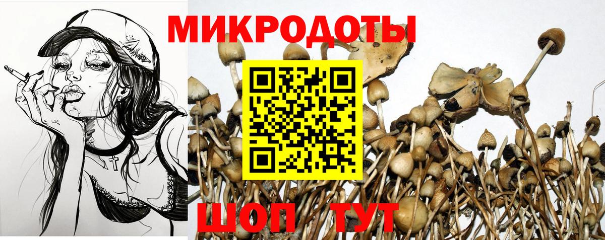 Гусиноозёрск  Псилоцибиновые грибы мицелий  Псилоцибиновые грибы мухоморы  Вход с VPN 