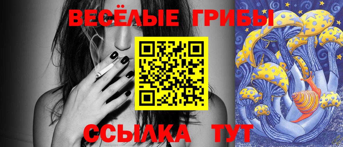Галлюциногенные грибы GOLDEN TEACHER Гусиноозёрск